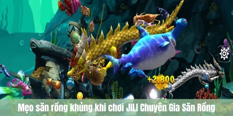  JILI Chuyên Gia Săn Rồng 