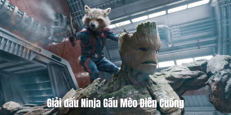 Ninja Gấu Mèo Điên Cuồng